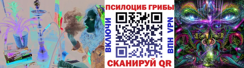 Купить закладки  Советск  Галлюциногенные грибы Psilocybine cubensis 