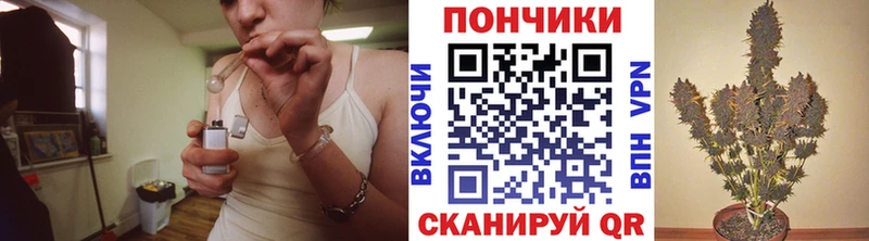 Конопля OG Kush  Купить  Советск 